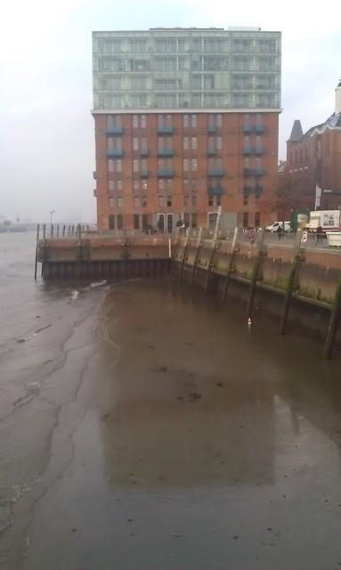 IMAG0595.jpg