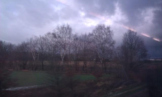 IMAG0725.jpg