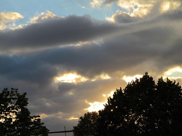 IMG 0028