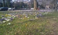 IMAG0203.jpg