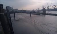 IMAG0596.jpg