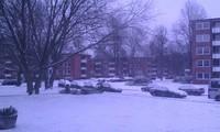 IMAG0734.jpg