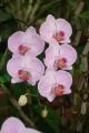 img022.jpeg.small.jpeg